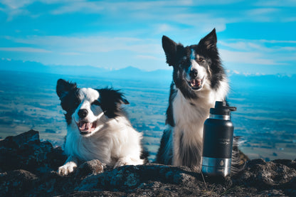 Fursty 1ltr Stainless Steel Bottle